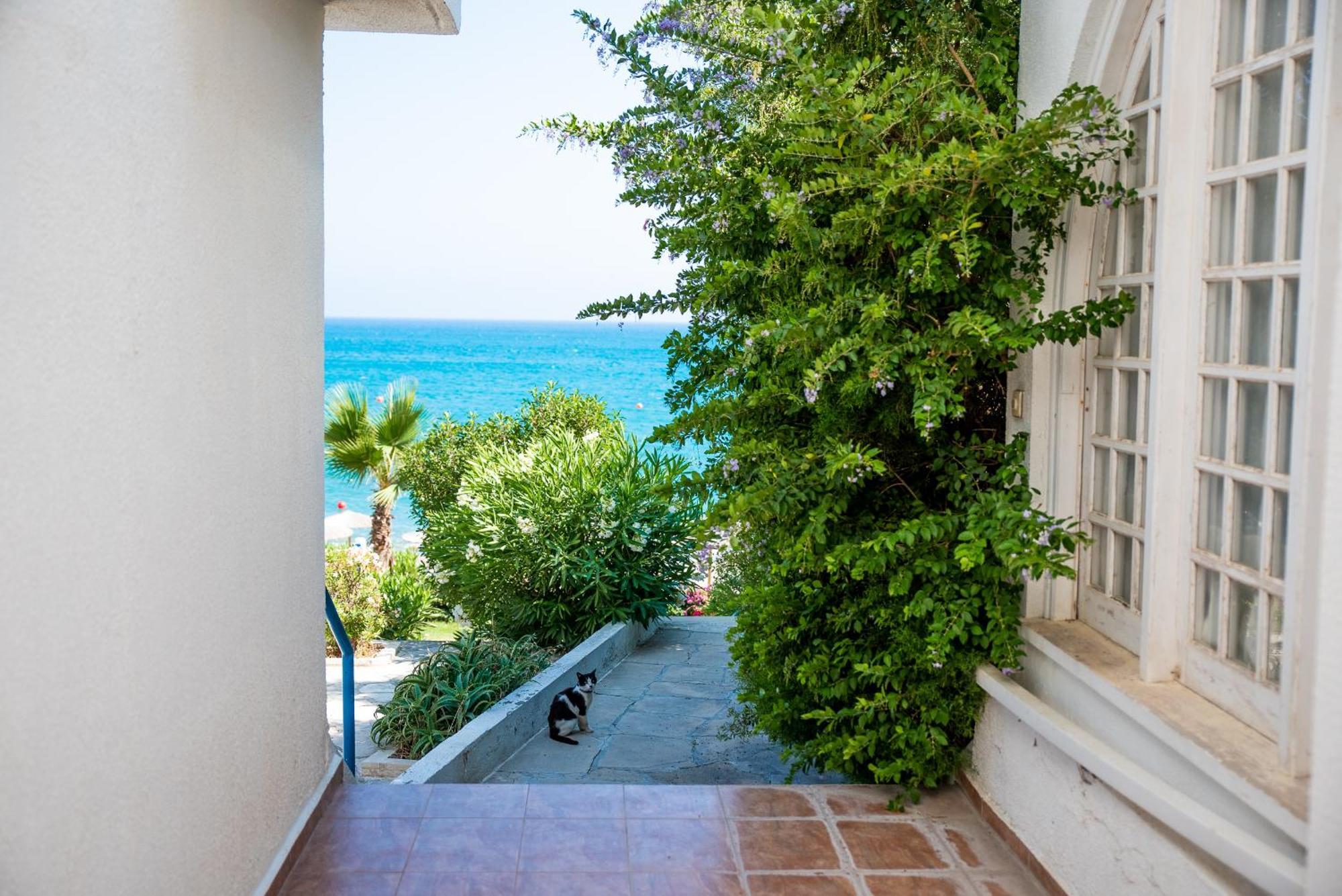 Pissouri Bay Studio Екстериор снимка